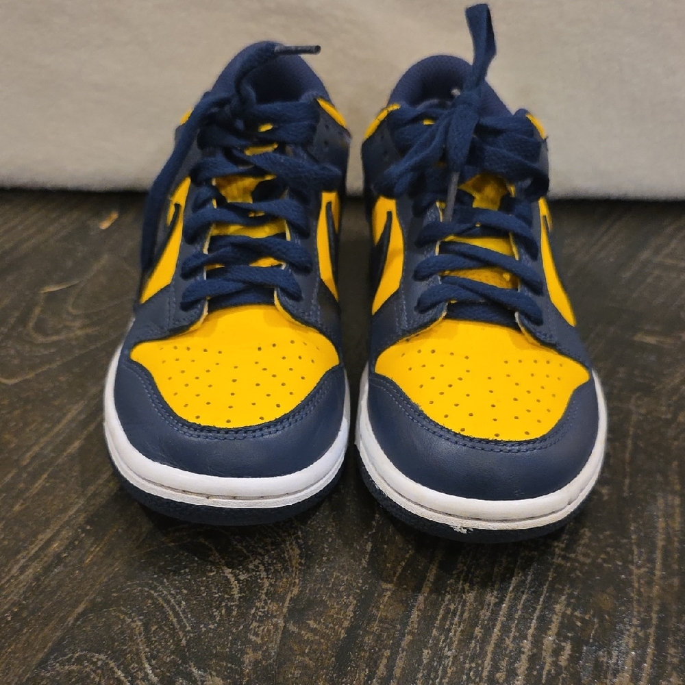 Nike Dunk Low Michigan